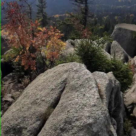 Fichtelgebirge *