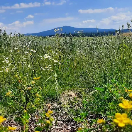 Fichtelgebirge *