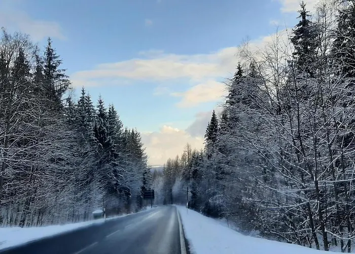 Fichtelgebirge Lejlighed *