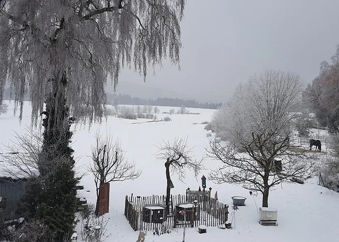 Fichtelgebirge Lejlighed