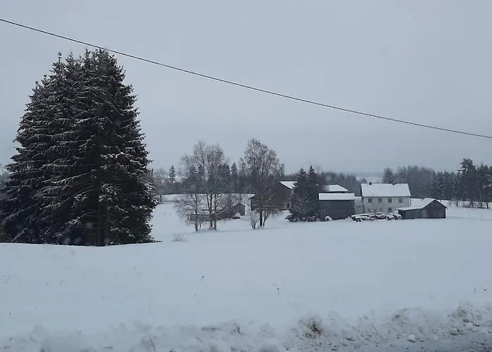 Fichtelgebirge Appartement *