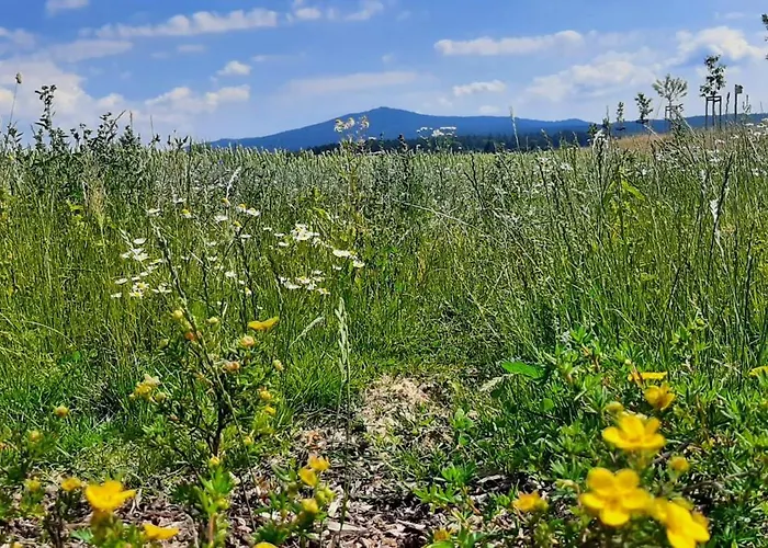 Fichtelgebirge *